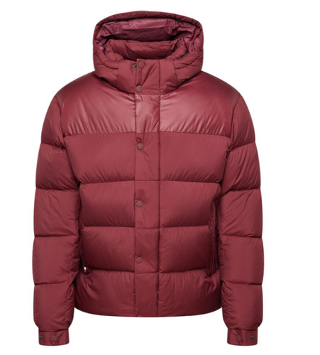 Tommy hilfiger mix down hooded - mix,